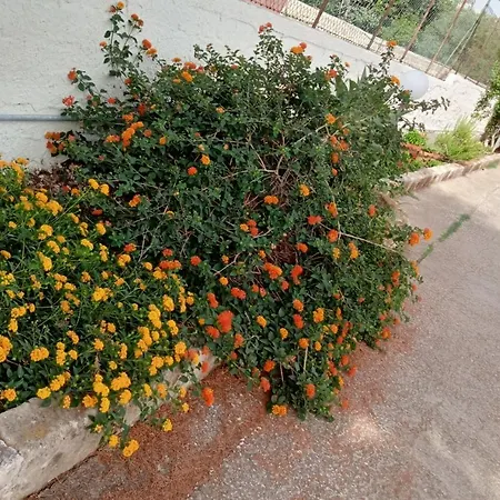 Dependance Sabrina Apartamento *