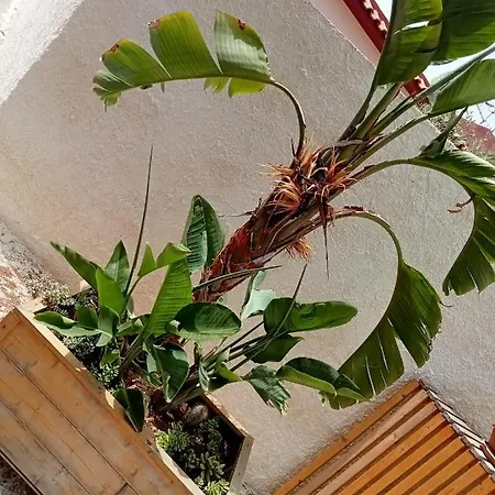 Apartamento Dependance Sabrina *