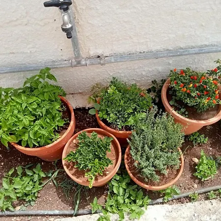 Dependance Sabrina * Citta Giardino (Syracuse)