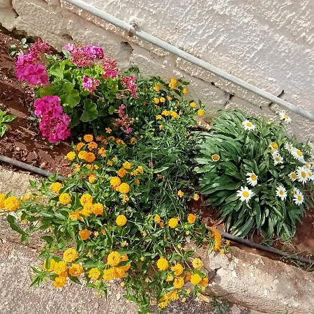 Dependance Sabrina Apartamento Citta Giardino (Syracuse)